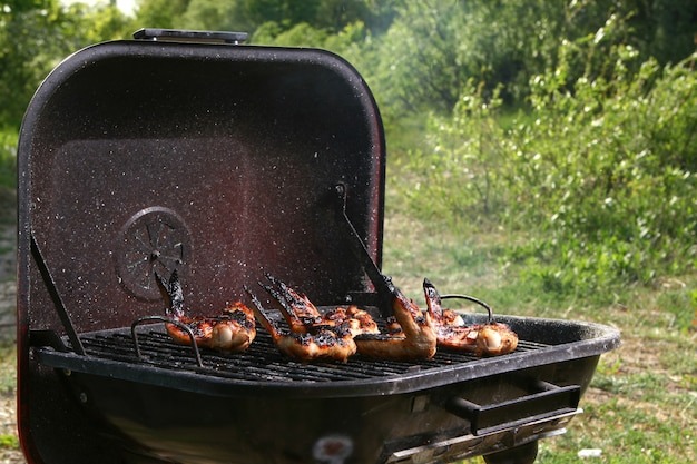 chicken-legs-grill_144627-7414